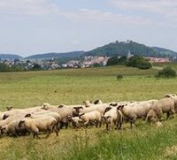 Schwer beeinträchtigte Fläche. Sie das danach aus?